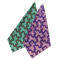 SAYHELLO ϥ Summer Bandana