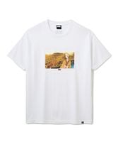 FTC ���եƥ������� 