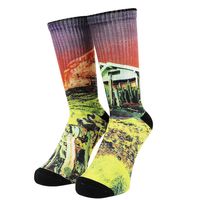 WHIMSY �����ॸ�� Day Dreaming Socks