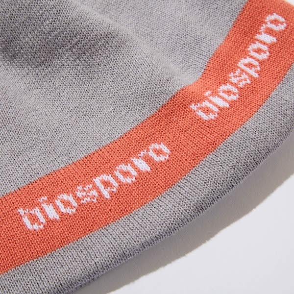 Diaspora skateboards ǥݥ Lined Logo Single Beanie