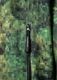 APPLEBUM ���åץ�Х� ��Pixel Camo�� Fleece Jacket