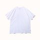 Diaspora skateboards �ǥ������ݥ� 2P Pack Tee