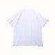 Diaspora skateboards �ǥ������ݥ� 2P Pack Tee
