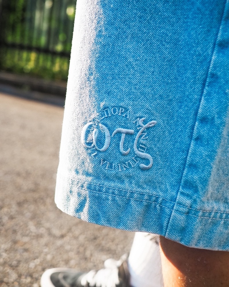 Diaspora skateboards ǥݥ 219 Shorts "WHATZIS"