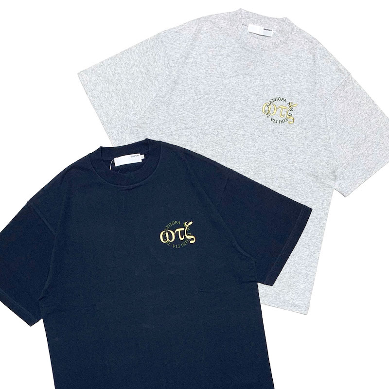 Diaspora skateboards ǥݥ Overlap Tee