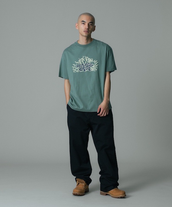 XLARGE �������ȥ�顼�� WORK PANTS