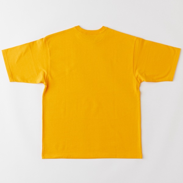 F.A.T. եƥ FASTERISTee