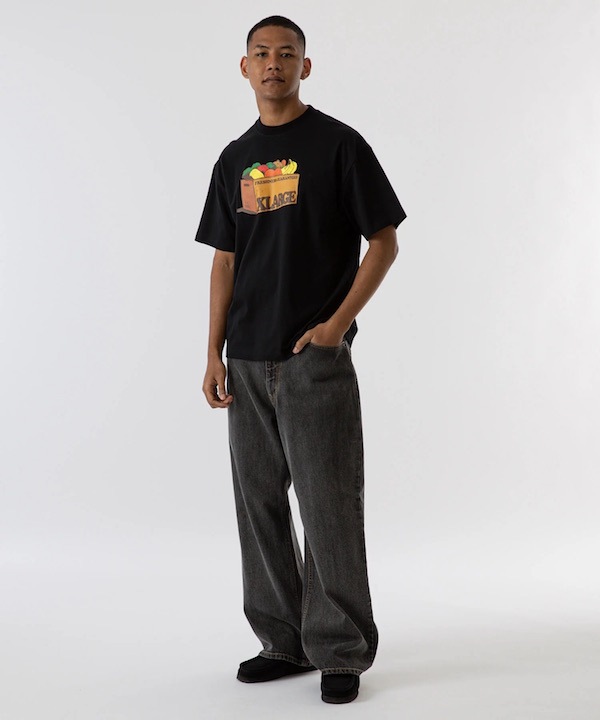 XLARGE �������ȥ�顼�� FRESHNESS S/S TEE