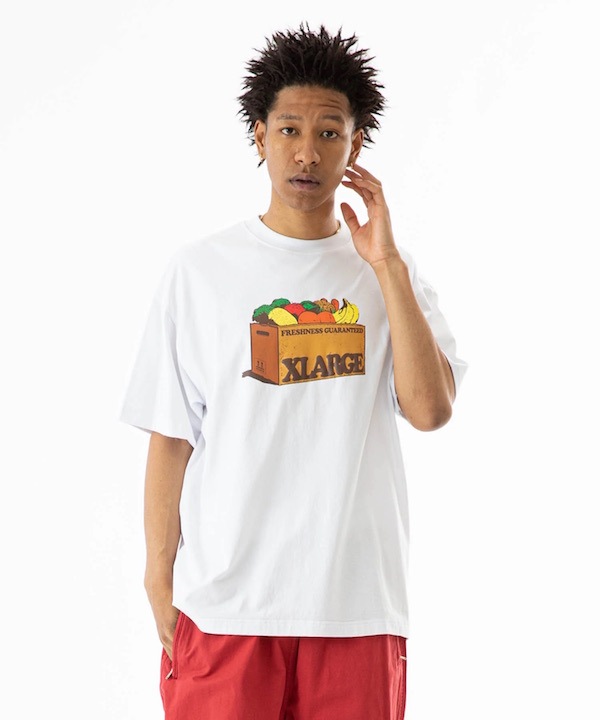 XLARGE �������ȥ�顼�� FRESHNESS S/S TEE