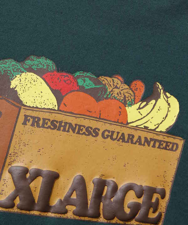 XLARGE �������ȥ�顼�� FRESHNESS S/S TEE
