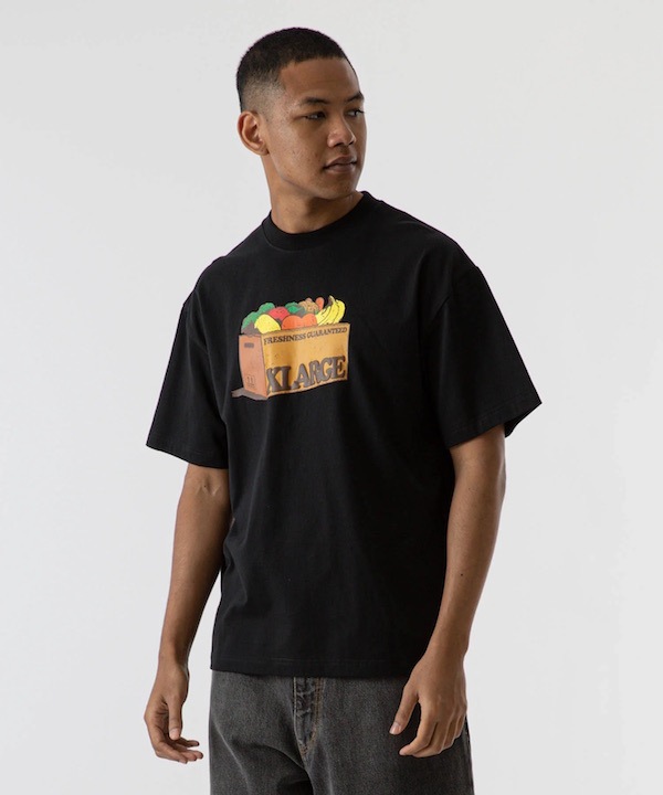 XLARGE �������ȥ�顼�� FRESHNESS S/S TEE