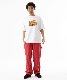 XLARGE �������ȥ�顼�� FRESHNESS S/S TEE