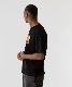 XLARGE �������ȥ�顼�� FRESHNESS S/S TEE