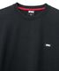 FTC ���եƥ������� PIGMENT DYED SMALL LOGO L/S TOP