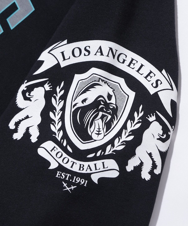 XLARGE �������ȥ�顼�� RAGLAN ZIP UP HOODED SWEATSHIRT
