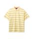 FTC ���եƥ������� STRIPE POLO