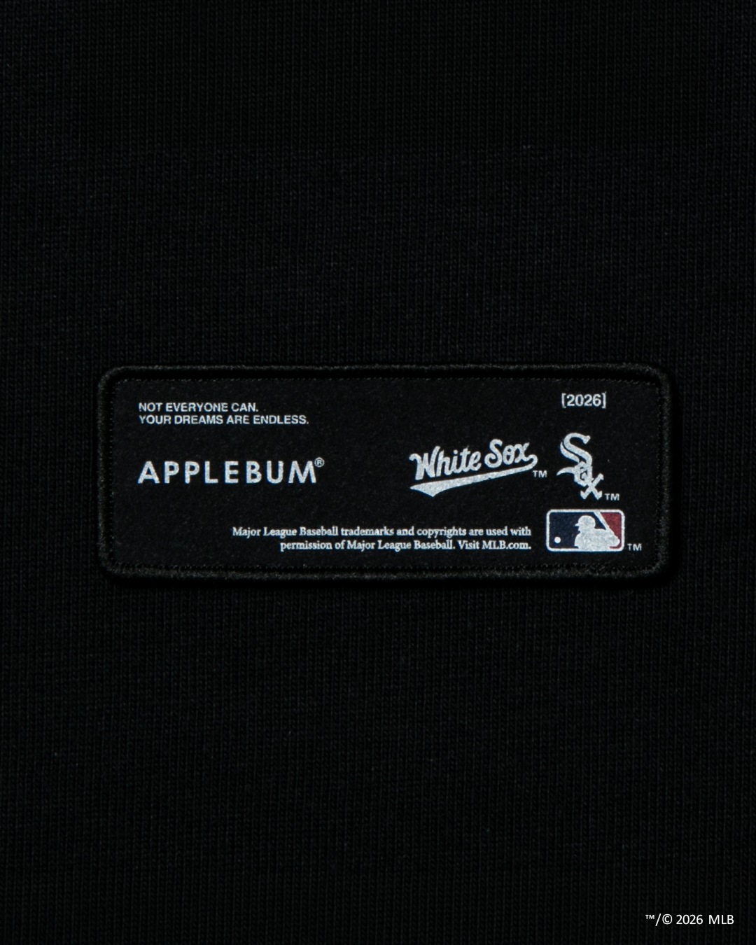 APPLEBUM ���åץ�Х� ��WHITE SOX BOYZ�� Hoodie