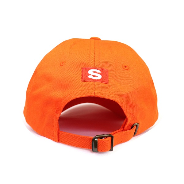 SAMUEL ���ߥ奨�� FABULOUS PRODUCTS CAP