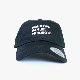 SAMUEL ���ߥ奨�� FABULOUS PRODUCTS CAP