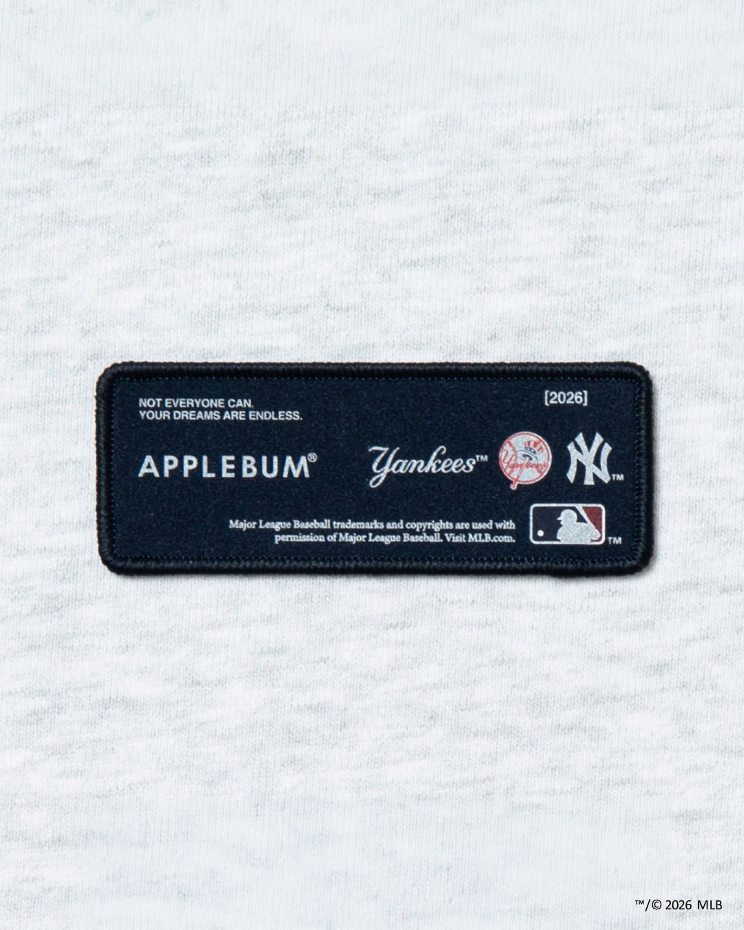 APPLEBUM ���åץ�Х� ��YANKEES BOYZ�� Hoodie