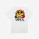 OBEY ٥ The Future Is The Fruits Of Our Tee