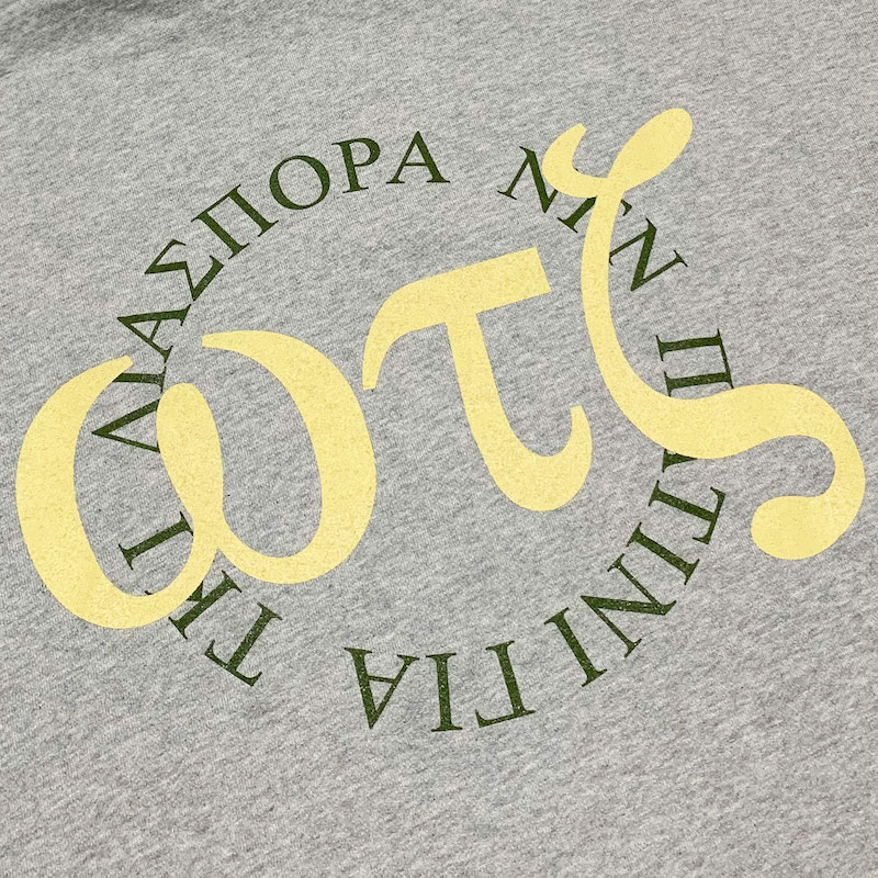 Diaspora skateboards �ǥ������ݥ� Overlap Hooded Sweatshirt