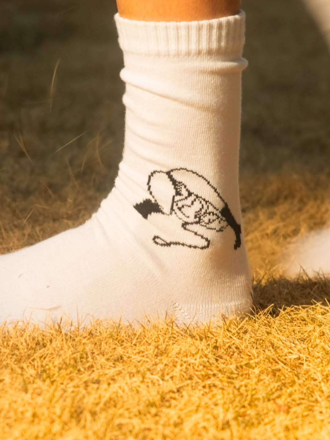 WHIMSY �����ॸ�� Mint Socks