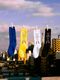 WHIMSY �����ॸ�� Nishiyama Socks