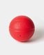 APPLEBUM �� TACHIKARA Custom Basketball ��R.E.D.��