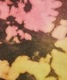 BAL Х LOGO TIE DYE HOODIE by YUKIDYE