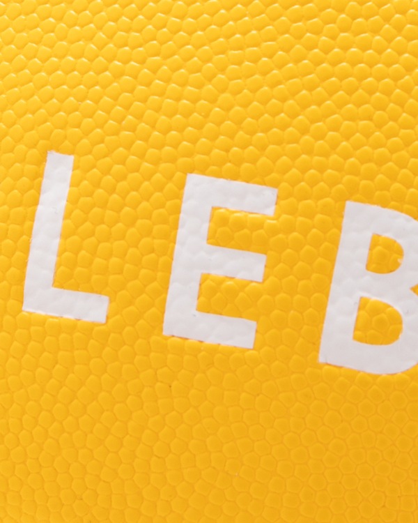 APPLEBUM �� TACHIKARA Custom Basketball ��Y.E.L.��