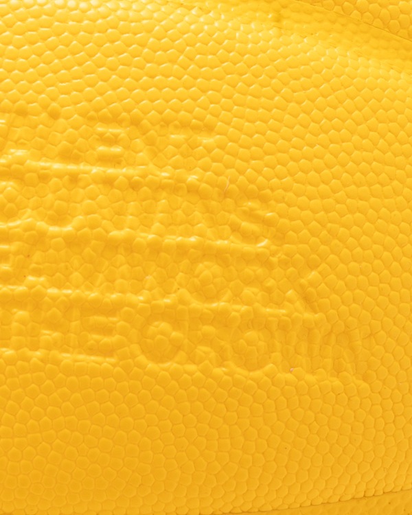 APPLEBUM �� TACHIKARA Custom Basketball ��Y.E.L.��