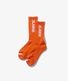 XLARGE �������ȥ�顼�� STANDARD LOGO SOCKS