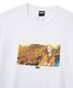 FTC ���եƥ������� "FTC x SAMURAI CHAMPLOO" SUN FLOWER TEE