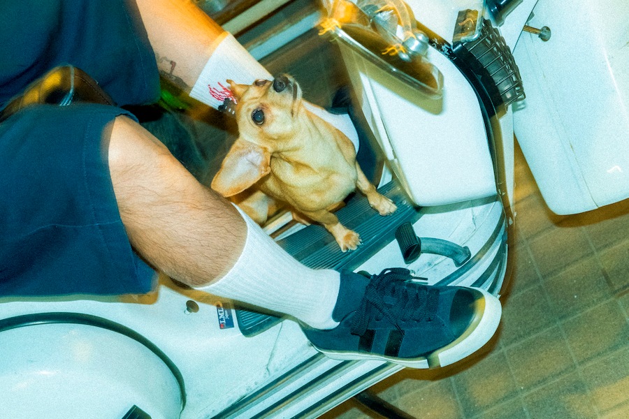 CLUCT �� mita sneakers �� ����� [Sox]
