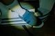 PRO-Keds �� CLUCT �� mita sneakers ROYAL PLUS SUEDE LO