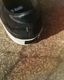PRO-Keds �� CLUCT �� mita sneakers ROYAL PLUS SUEDE LO