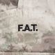 F.A.T. ���ե����ƥ��� F-65A.TAC
