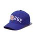 XLARGE �������ȥ�顼�� LA PATCHED CAP