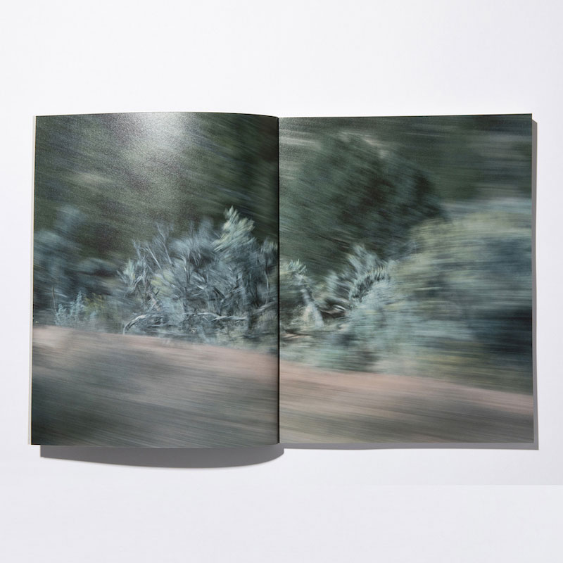 stacks �����å��� Colin Sussingham ��Disappear Into Earth��