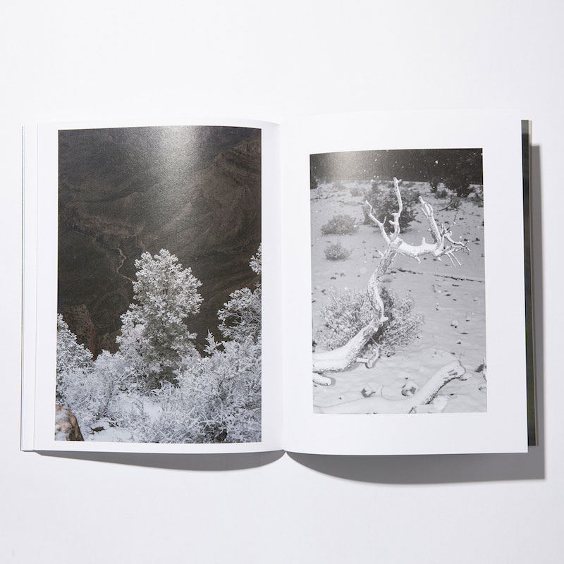 stacks �����å��� Colin Sussingham ��Disappear Into Earth��