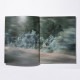 stacks �����å��� Colin Sussingham ��Disappear Into Earth��