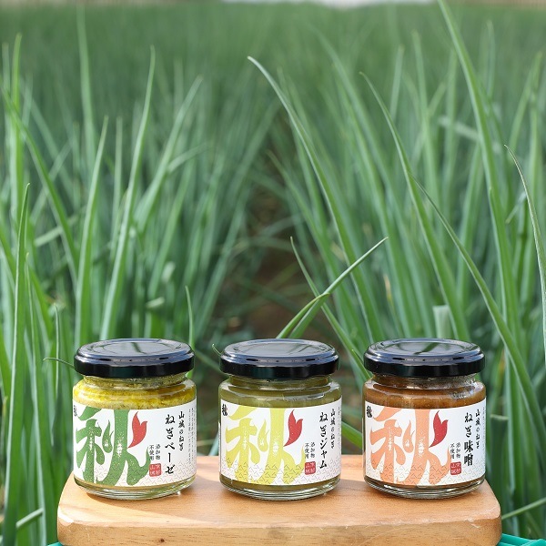 京都/秋田農園〉山城のねぎ 三兄弟セット