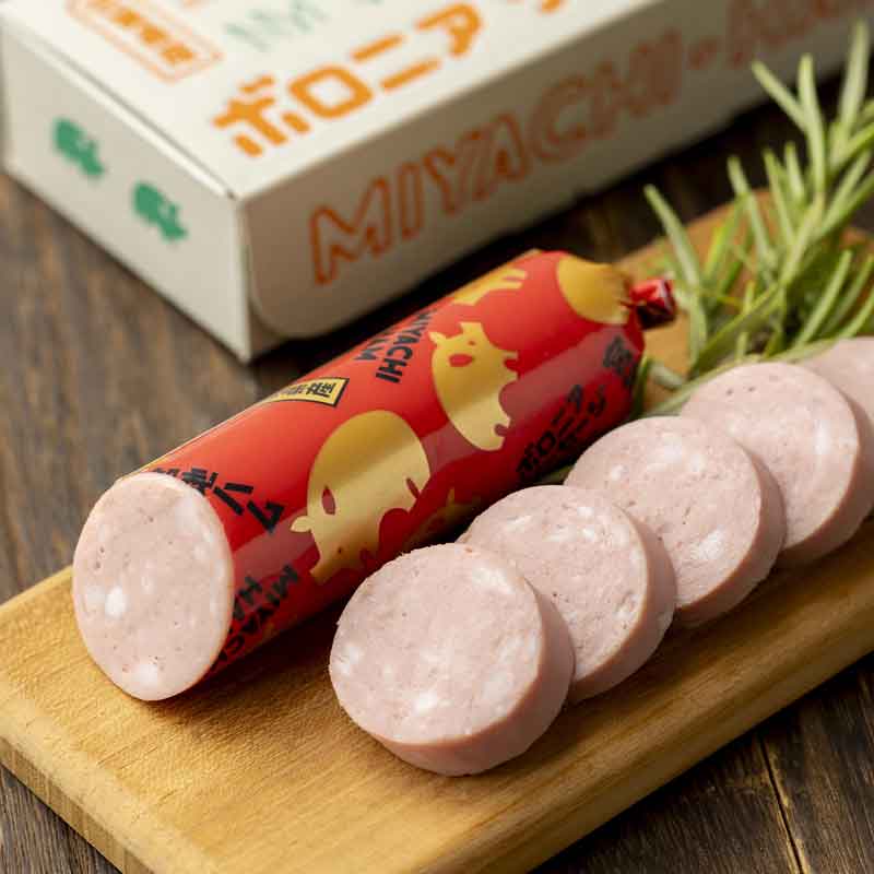 佐賀/宮地ハム〉ボロニアソーセージギフト箱（2本入り）