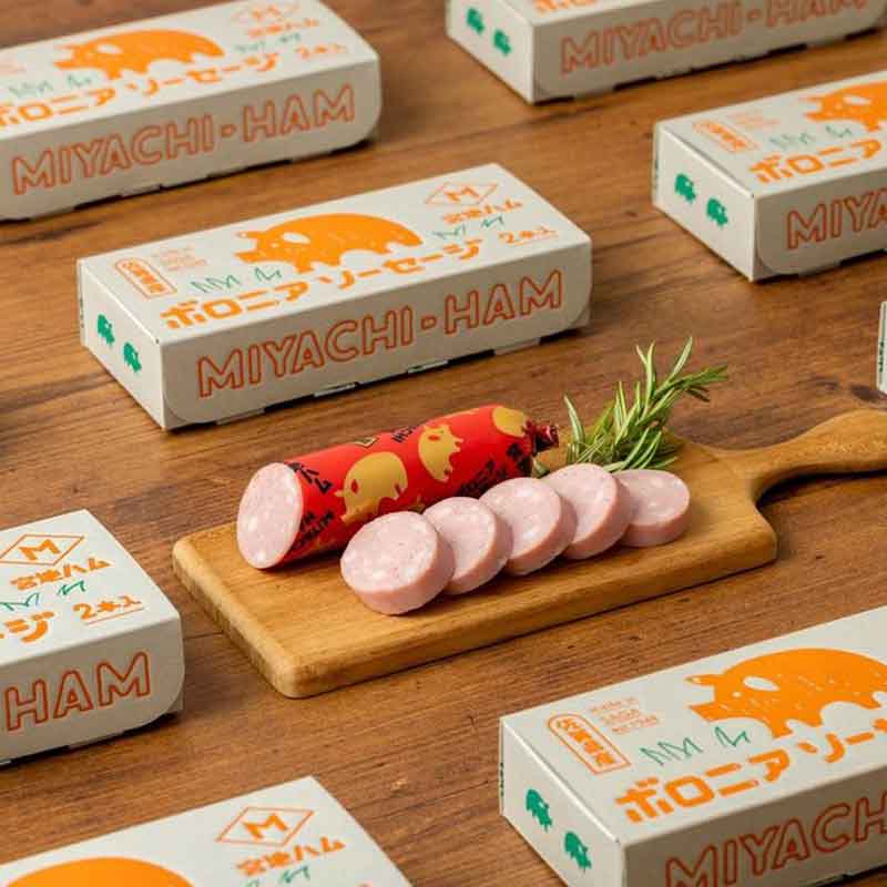 佐賀/宮地ハム〉ボロニアソーセージギフト箱（2本入り）×2セット