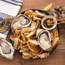 �ҹ���/���Կ����ӤҤ����޲�����18������