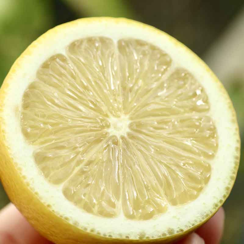 ҹ/ȤӤ޴̶ӥեȥ󥳡饷å2