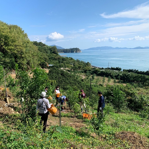 ҹ/ȤӤ޴̶ӥ󥱡 ʣˣȢ