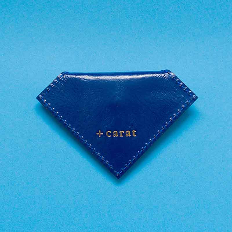 ҹ/ +carat80ct Jewelry case/եġ