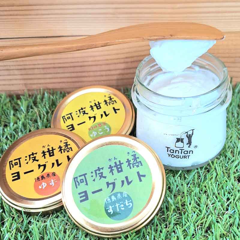 ������/���󥿥�衼����ȡӰ��ȴ��̥衼����� 3�糧�åȡ�ͮ�ҡ����������椳����